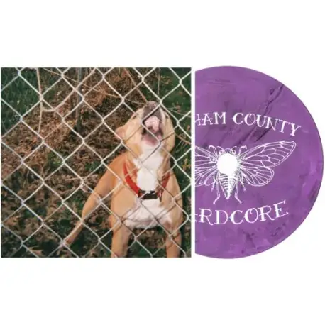 Szezonális akció LP Knocked Loose: Pop Culture (Limited, Gatefold Recycled Lavender Edition with etched side)