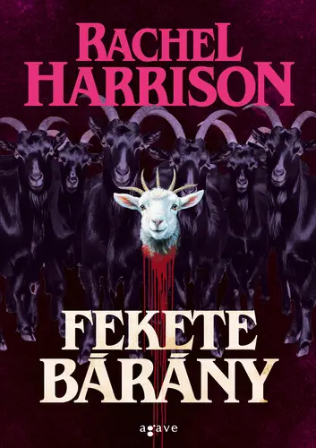 Árengedmény Fekete bárány