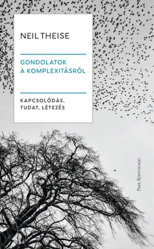 Gondolatok a komplexitásról Biztonságos fizetés