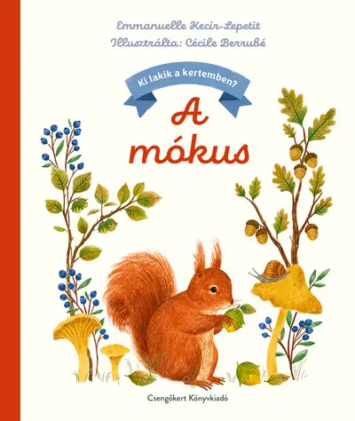 Kedvezmény A mókus