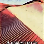 A három testőr Afrikában Kiárusítás