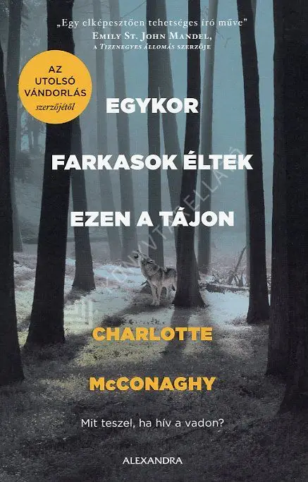 Egykor farkasok éltek ezen a tájon Vásárlói kedvenc