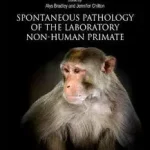 Vedd meg online Spontaneous Pathology of the Laboratory Non-human Primate byBradley, Alys; Chilton, Jennifer; Mahler, Beth;